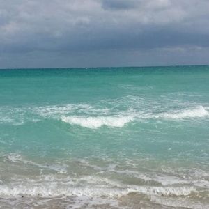 Meet your Posher, Marie